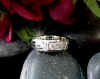 3_stone_anniversary_ring_whitejpg.jpg (19129 bytes)