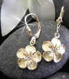 Plumeria_dangle_er_dia.jpg (33314 bytes)