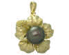 dngBPP02.jpg (12860 bytes)