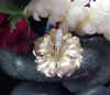 hawaiian_jewelry_dia_hibiscus_slider_only.jpg (13287 bytes)