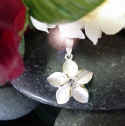 hawaiian_jewelry_two_tone_plumeria_pend.jpg (23270 bytes)
