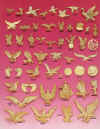 pg5.jpg (673044 bytes)