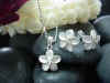 silver_tt_12_plumeria_set.jpg (75590 bytes)