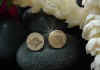 japanese_kamon_earrings.jpg (15297 bytes)